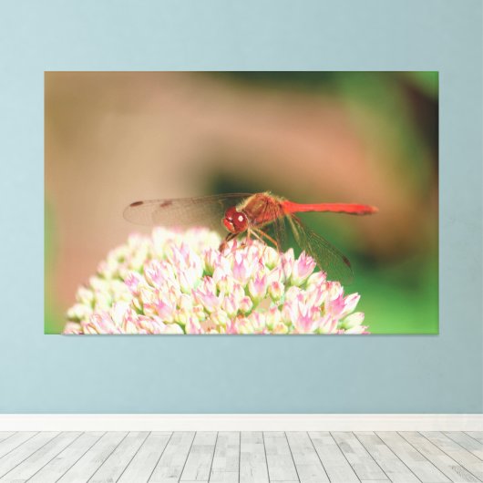 Rode libel foto canvas afdruk (Insitu (Houten vloer))