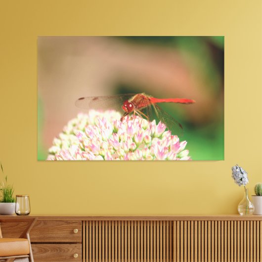 Rode libel foto canvas afdruk (Insitu (Woonkamer))