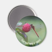 Rode Libel Natuur Gepersonaliseerd Magneet (Voorkant / Achterkant)