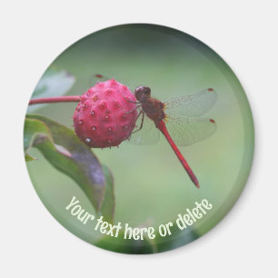 Rode Libel Natuur Gepersonaliseerd Magneet