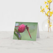 Rode Libel Natuurfotografiekaart Kaart (Gele Bloem)