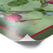 Rode libel op Dogwood Fruit Abstract 8x10 Foto Afdruk (Hoek)