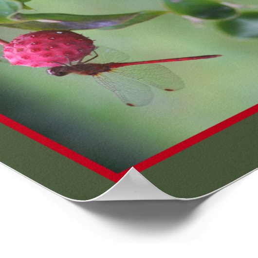 Rode libel op hondenvruchten Abstract Poster (Hoek)