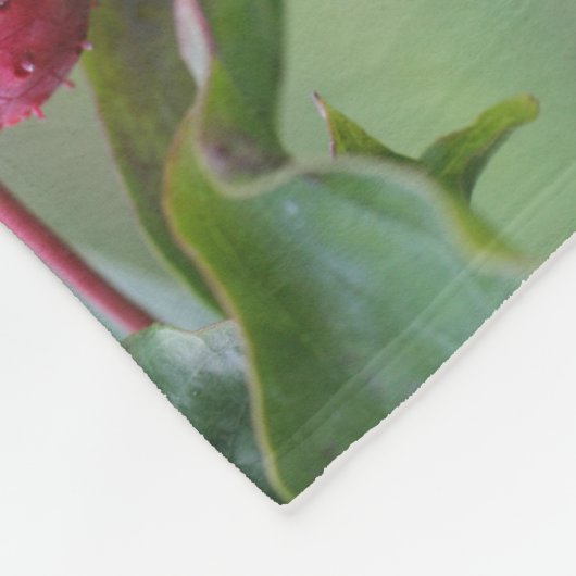 Rode libel op hondenvruchten fleece deken (Hoek)