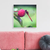 Rode Libel op Kornoelje Fruit Close-up Canvas Afdruk (Insitu (Woonkamer))