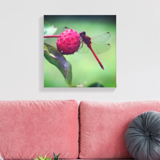 Rode Libel op Kornoelje Fruit Close-up Canvas Afdruk (Insitu (Woonkamer))