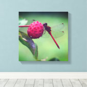 Rode Libel op Kornoelje Fruit Close-up Canvas Afdruk (Insitu (Houten vloer))