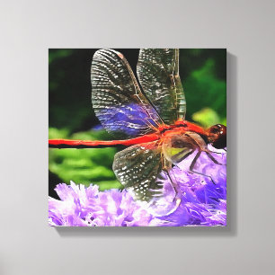 Rode libel op Violet Purple Flowers Canvas Afdruk