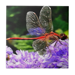 Rode libel op Violet Purple Flowers Tegeltje