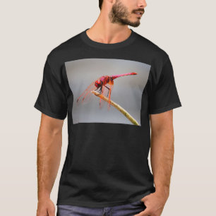 rode libellen 5 t-shirt