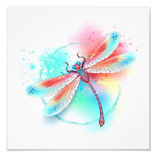 Rode libellen op waterverf achtergrond foto afdruk (Voorkant)