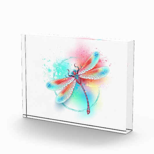 Rode libellen op waterverf achtergrond fotoblokken (Rechts)