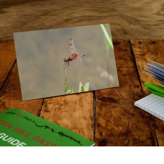 Rode libellen rusten op een rietje briefkaart