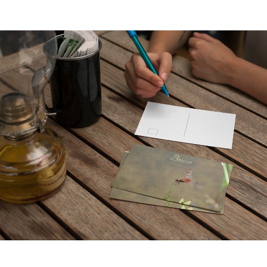 Rode libellen rusten op een rietje briefkaart