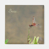 Rode libellen rusten op een rietje magneet (Voorkant)