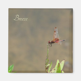 Rode libellen rusten op een rietje magneet