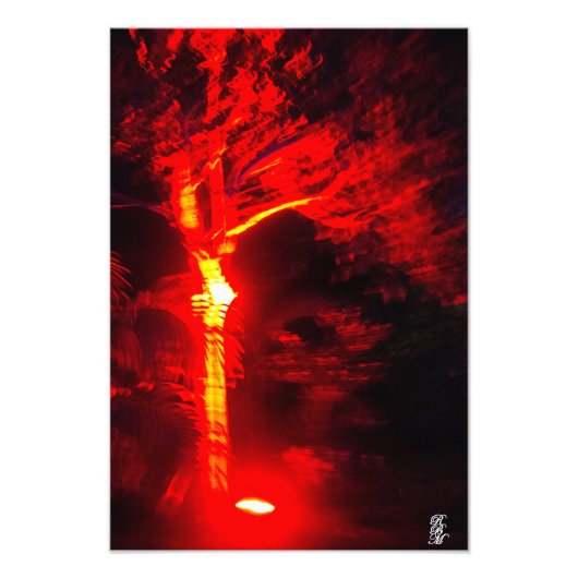 rode lichtboom foto afdruk (Voorkant)