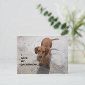 rode liefde voor pic briefkaart (Staand voorkant)