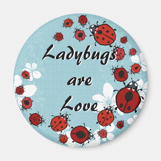 rode lieveheersbeestjesmagneet magneet (Voorkant)