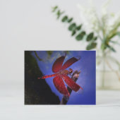 Rode lieveling briefkaart (Staand voorkant)