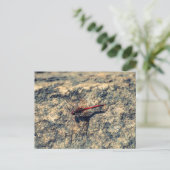 Rode lieveling briefkaart (Staand voorkant)