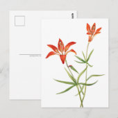 Rode Lily-bloemen -  Botanisch KunstBriefkaart Briefkaart (Voorkant / Achterkant)