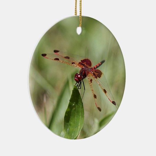 Rode limonade keramisch ornament (Rechts)