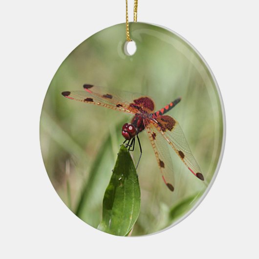 Rode limonade keramisch ornament (Links)