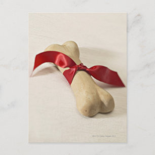 Rode lint gebonden aan een hond briefkaart