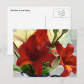 Rode lippen briefkaart (Voorkant / Achterkant)