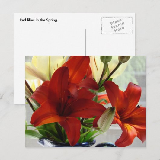 Rode lippen briefkaart (Voorkant / Achterkant)