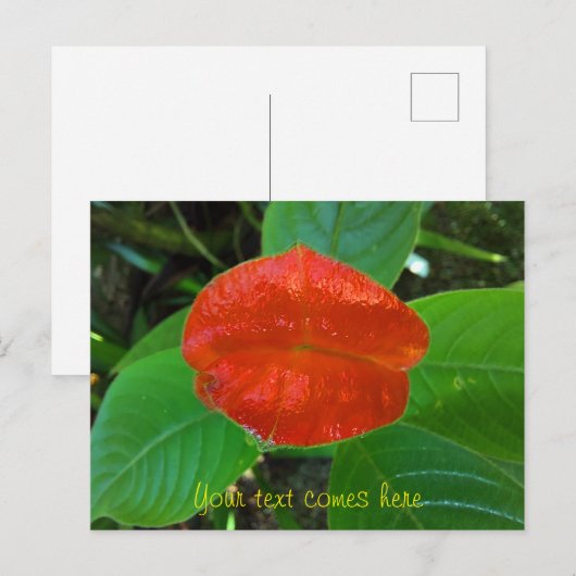 rode lippen feestdagenkaart (Voorkant / Achterkant)