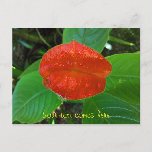 rode lippen feestdagenkaart (Voorkant)