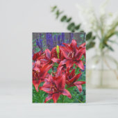 Rode lippenbloemen briefkaart (Staand voorkant)