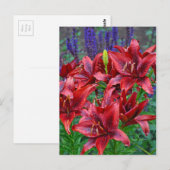 Rode lippenbloemen briefkaart (Voorkant / Achterkant)
