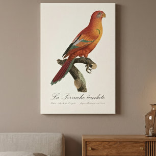 Rode Lori of Eos Bornea, Trichoglossus borneus Canvas Afdruk