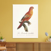 Rode Lori of Eos Bornea, Trichoglossus borneus Canvas Afdruk (Insitu (Woonkamer))