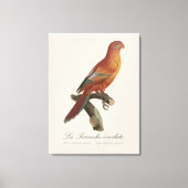 Rode Lori of Eos Bornea, Trichoglossus borneus Canvas Afdruk (Voorkant)
