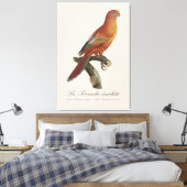 Rode Lori of Eos Bornea, Trichoglossus borneus Canvas Afdruk (Insitu (Slaapkamer))