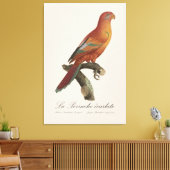 Rode Lori of Eos Bornea, Trichoglossus borneus Canvas Afdruk (Insitu (Woonkamer))