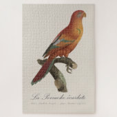 Rode Lori of Eos Bornea, Trichoglossus borneus Legpuzzel (Verticaal)