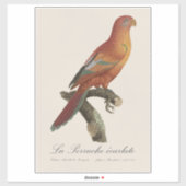 Rode Lori of Eos Bornea, Trichoglossus borneus Sticker (Vel)