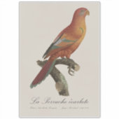 Rode Lori of Eos Bornea, Trichoglossus borneus Sticker (Voorkant)