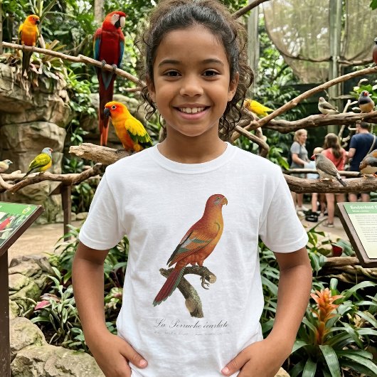Rode Lori of Eos Bornea, Trichoglossus borneus T-shirt