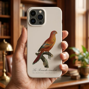 Rode Lori of Eos Borneo, Trichoglossus borneus Case-Mate iPhone Case