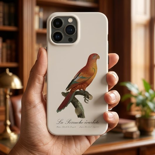 Rode Lori of Eos Borneo, Trichoglossus borneus Case-Mate iPhone Case