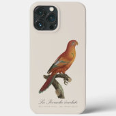 Rode Lori of Eos Borneo, Trichoglossus borneus Case-Mate iPhone Case (Achterkant)