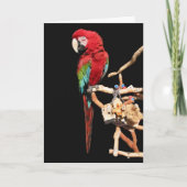 Rode Macaw Kaart voor elke gelegenheid (Voorkant)