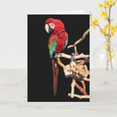 Rode Macaw Kaart voor elke gelegenheid (Gele Bloem)