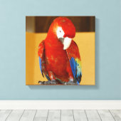 Rode Macaw Tropische Papegaai in Mexico Canvas Afdruk (Insitu (Houten vloer))